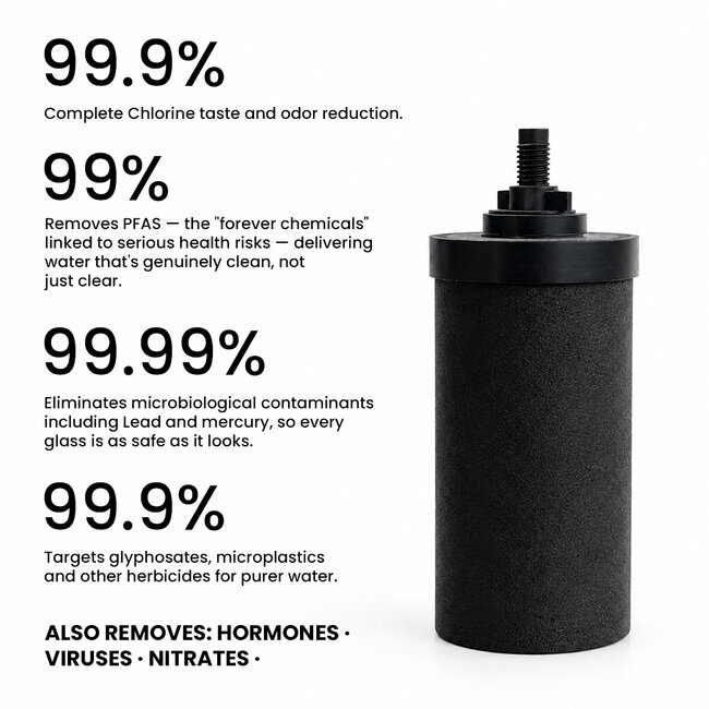 Phoenix Gravity 1L RVS Waterfilter – Complete Waterfilterset 950 ml drinkfles en draagtas