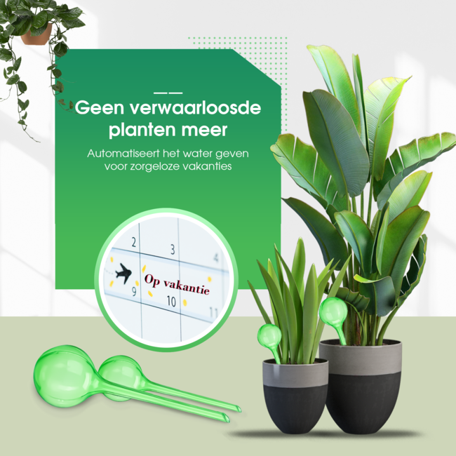 HGMD Waterdruppelaar set van 8 stuks voor planten groen - Groen - Waterdruppelaar voor kamerplanten – Waterbol - Waterdruppelaar voor planten - Watergeefsysteem