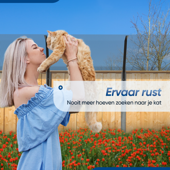 HGMD Kattengaas 1 x 10 meter inclusief ophang beugels