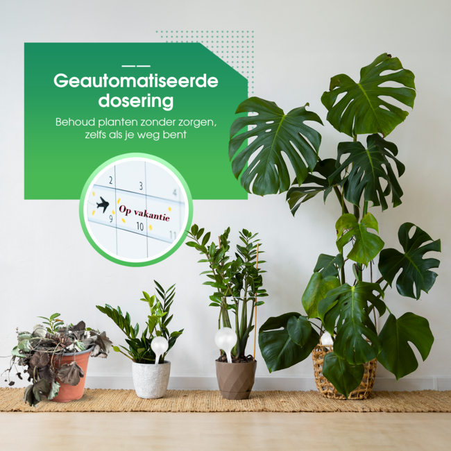HGMD Waterdruppelaar XL set 6 stuks voor planten transparant - Waterdruppelaar voor kamerplanten – Waterbol - Waterdruppelaar voor planten - Watergeefsysteem