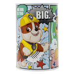 Paw Patrol Spardose Sparschwein PAW Patrol
