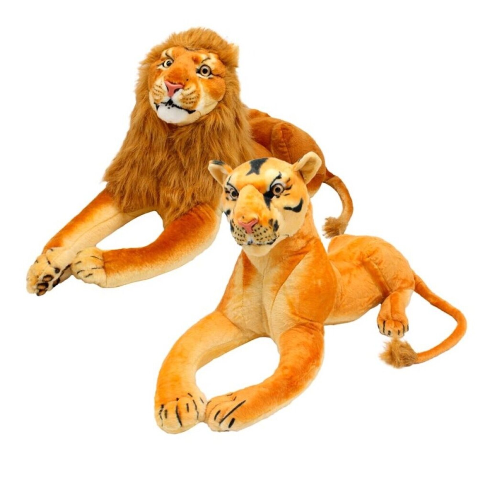 LION AND LIONNESS 60 CM