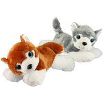 DOG HUSKY LYING E.C - 35 CM