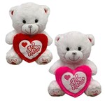 ASSORTED HEART BEAR 28 CM