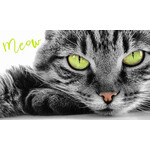 Katze Eyes Handtuch 30*50 cm