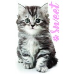 Katze Sweet Handtuch, Gesichtstuch 30*50cm