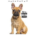 Hund Friend Handtuch, Gesichtstuch 30*50 cm