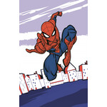 Spiderman Handtuch, Gesichtstuch 30*50 cm