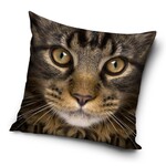 Katze Kissenbezug 40*40 cm