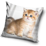 Katze Kissenbezug 40*40 cm