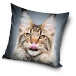 Katze Kissenbezug 40*40 cm