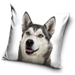Hund Kissenbezug 40*40 cm