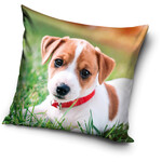 Hund Kissenbezug 40*40 cm