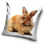 Hase Kissenbezug 40*40 cm