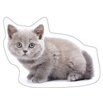 Katze Ash Form-Kissen, dekoratives Kissen