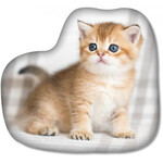Katze Kissen
