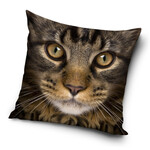 Katze Kissen 40*40 cm