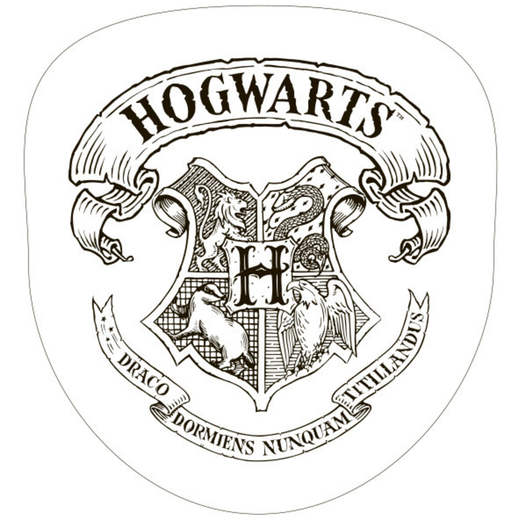 Harry Potter Harry Potter Formkissen