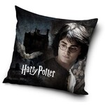 Harry Potter Harry Potter Kissen 40*40 cm
