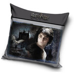 Harry Potter Harry Potter Kissen 40*40 cm