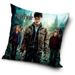 Harry Potter Harry Potter Kissen 40*40 cm