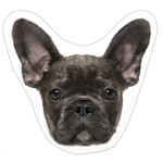 Hund Kissen