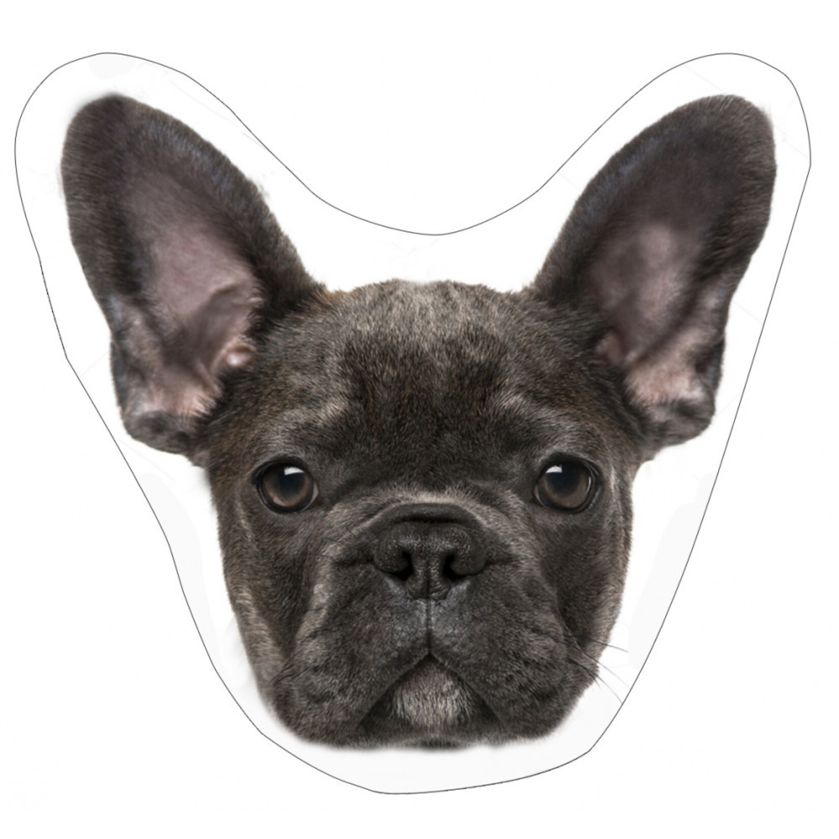 Hund Kissen