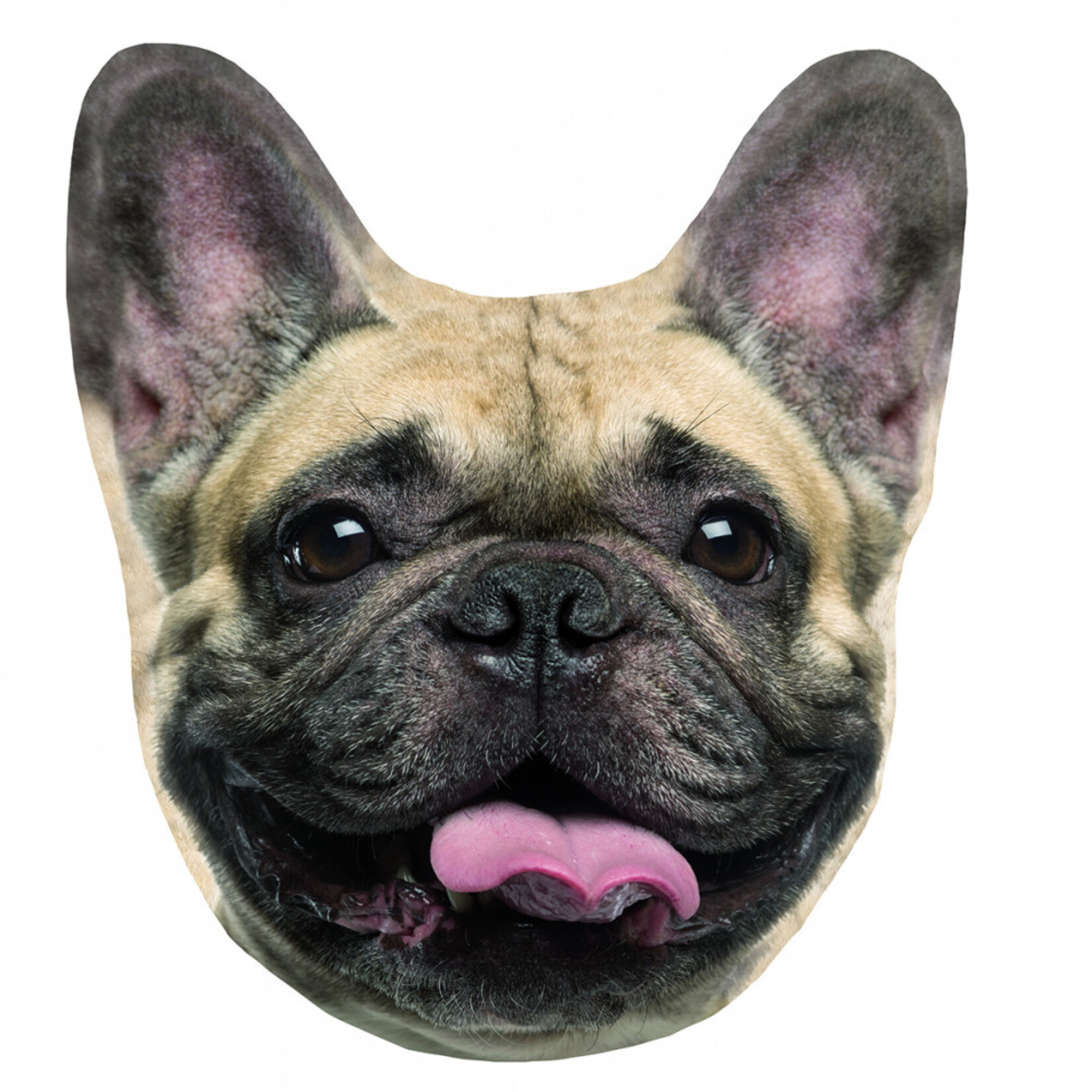 Hund Kissen