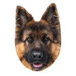Hund Kissen