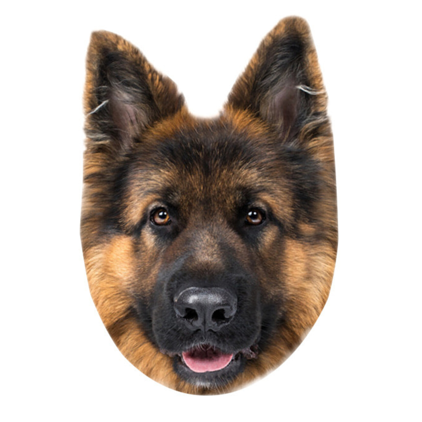 Hund Kissen