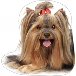 Hund Kissen