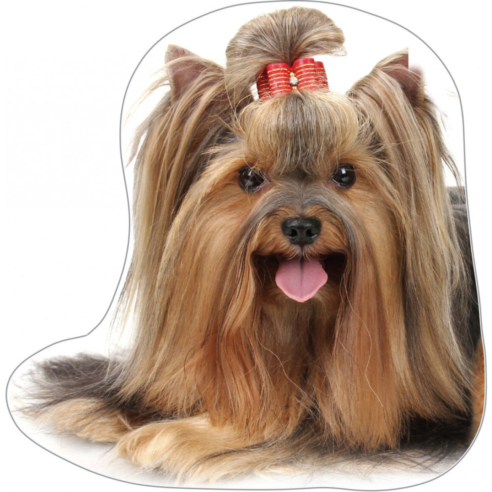 Hund Kissen