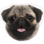 Hund Kissen