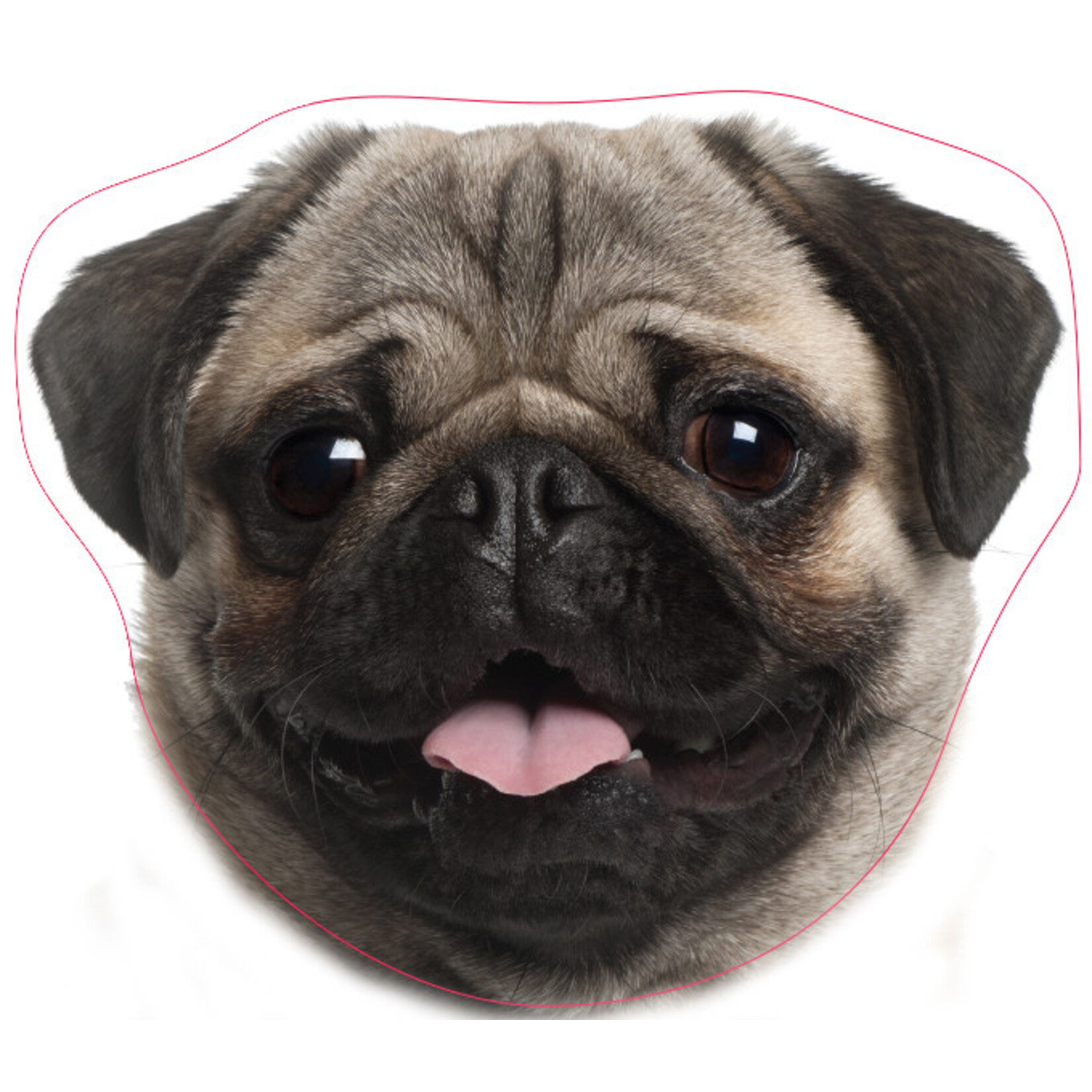 Hund Kissen