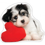 Hund Kissen