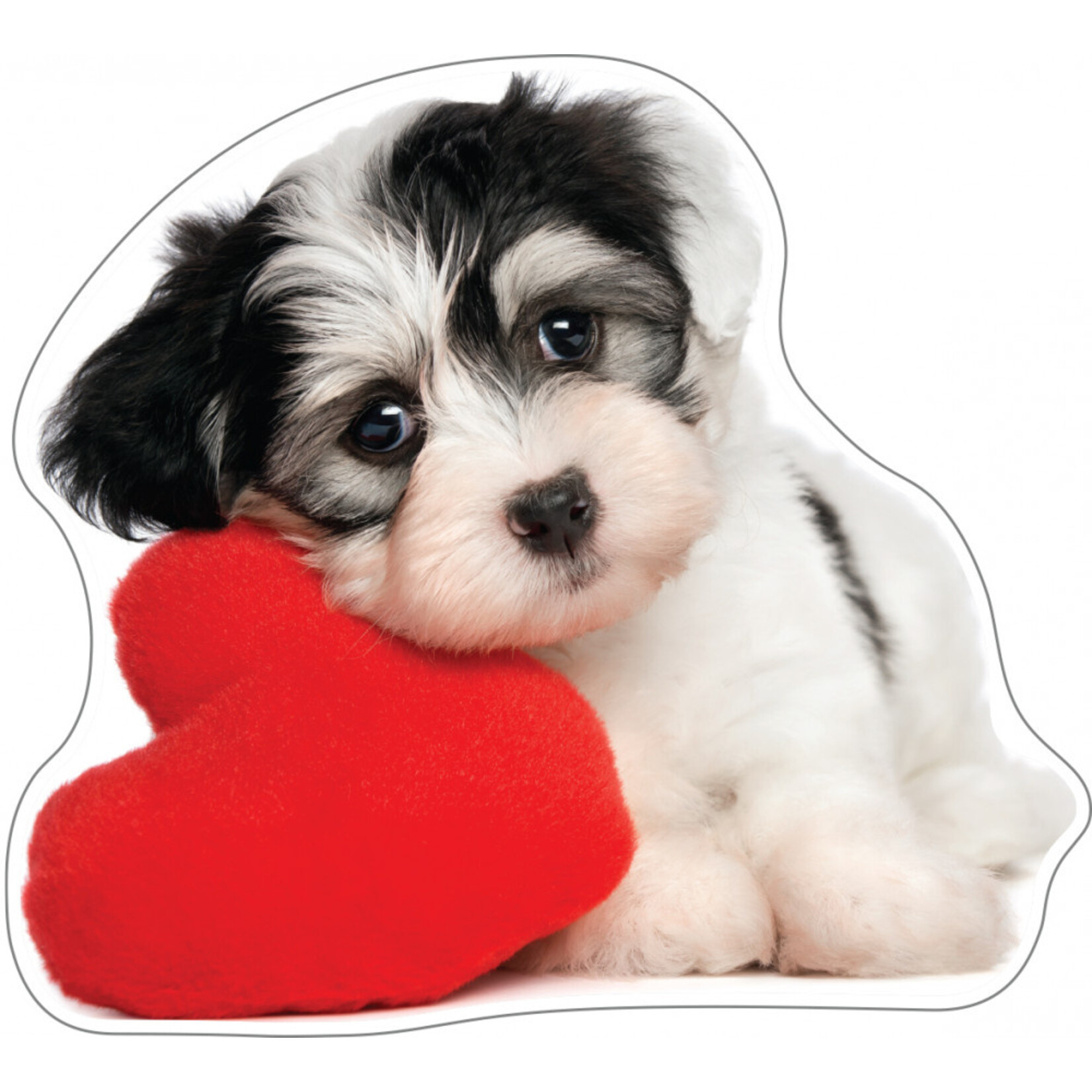 Hund Kissen