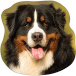 Hund Kissen