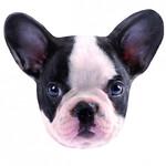 Hund Kissen