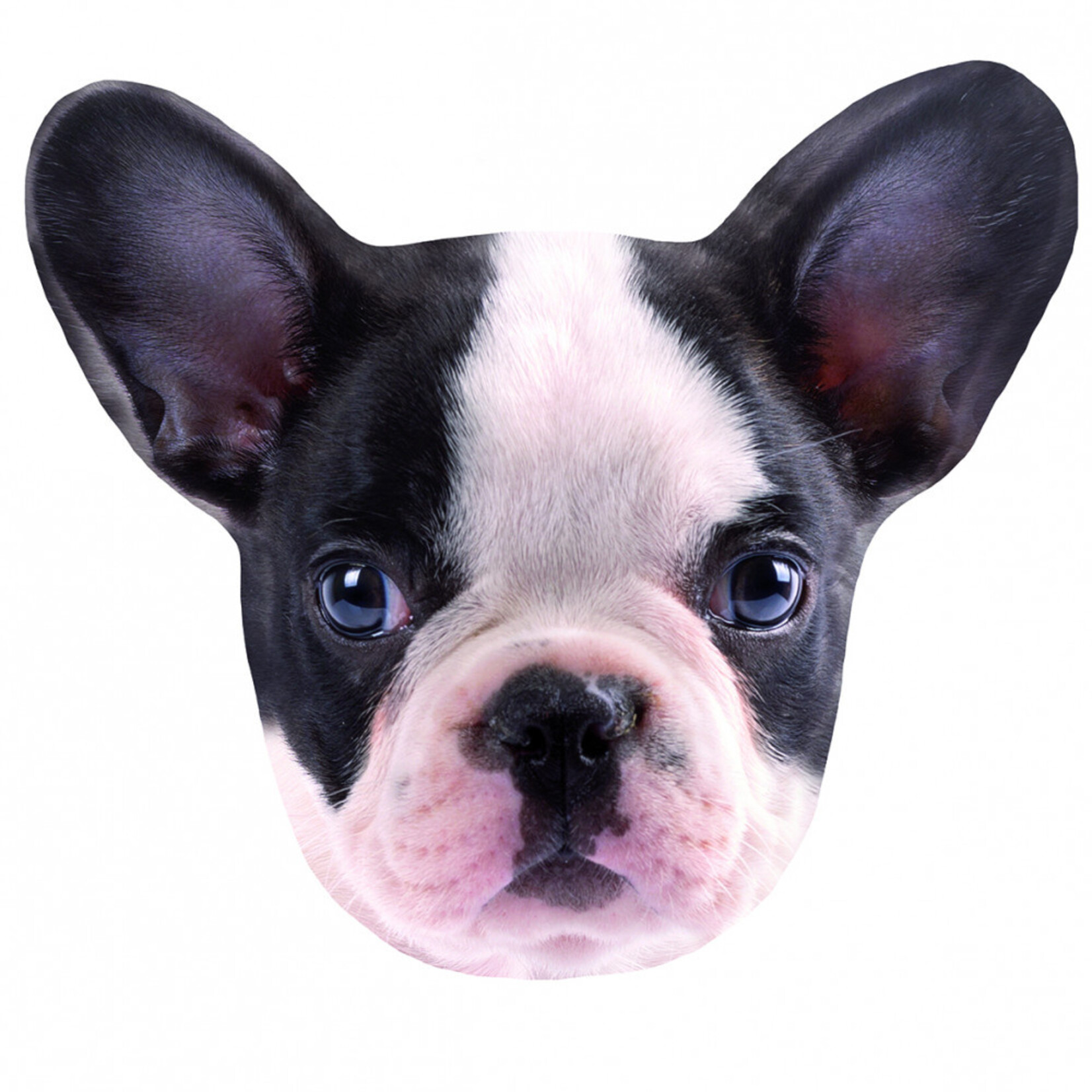 Hund Kissen