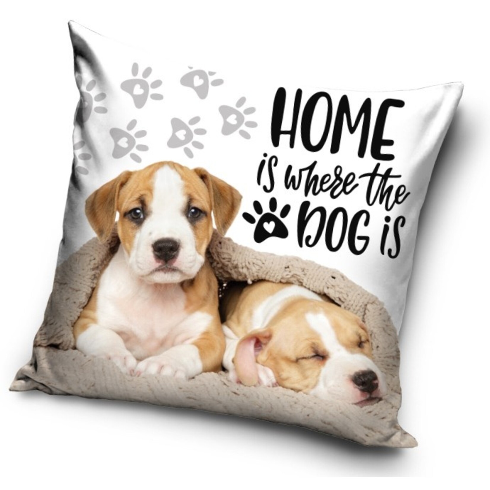 Hund Kissen 40*40 cm