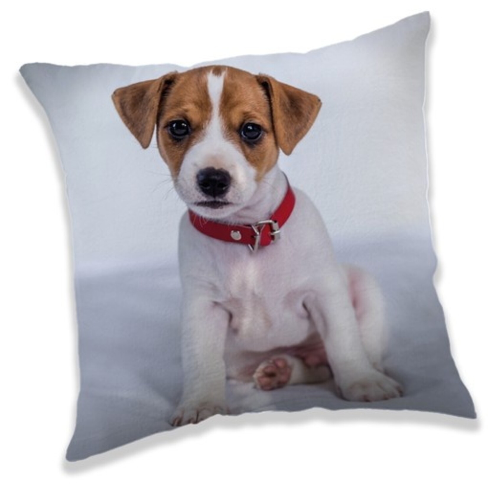 Hund Cushion 40*40 cm
