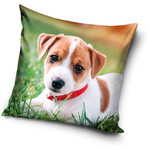 Hund Kissen 40*40 cm