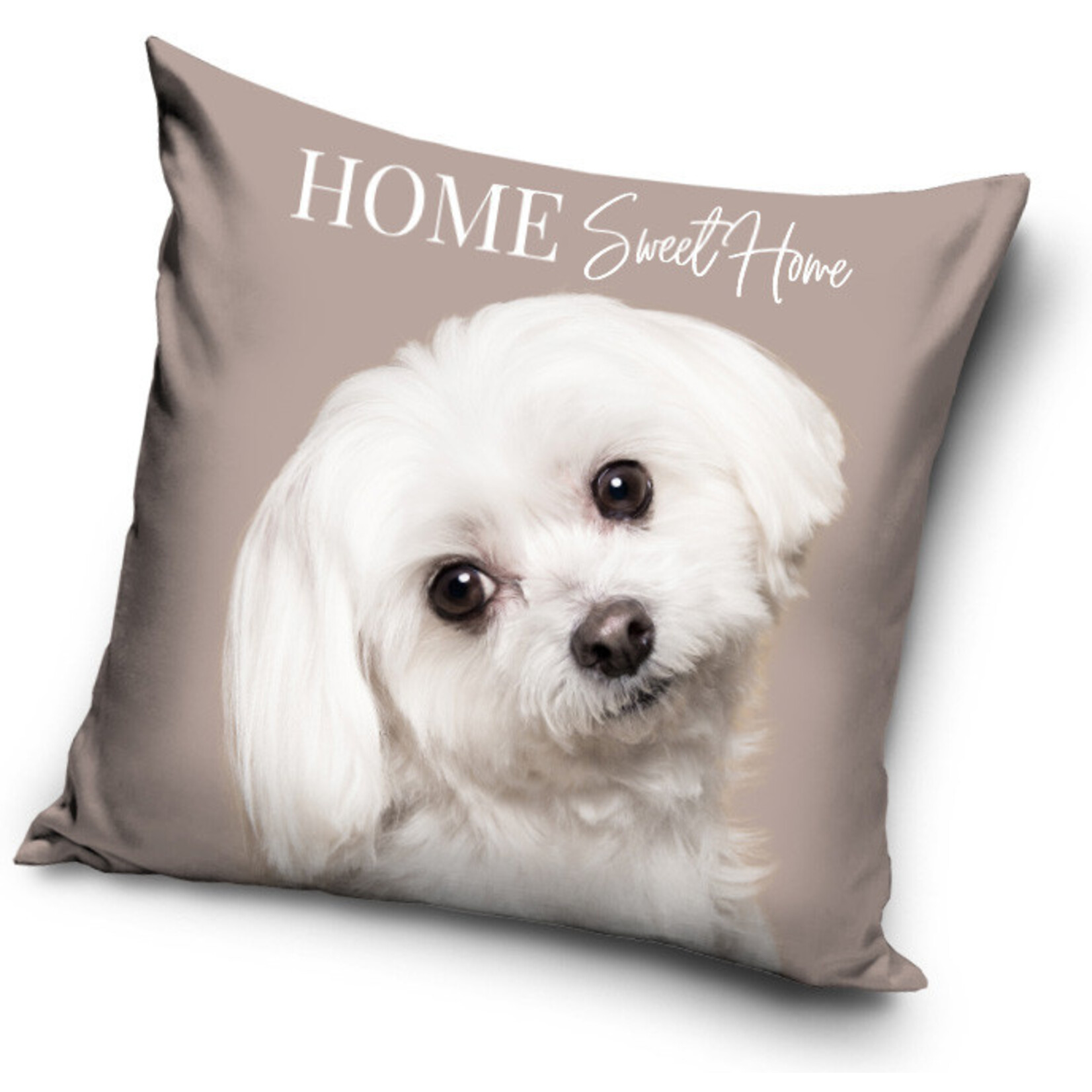 Hund Kissen 40*40 cm