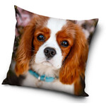 Hund Kissen 40*40 cm