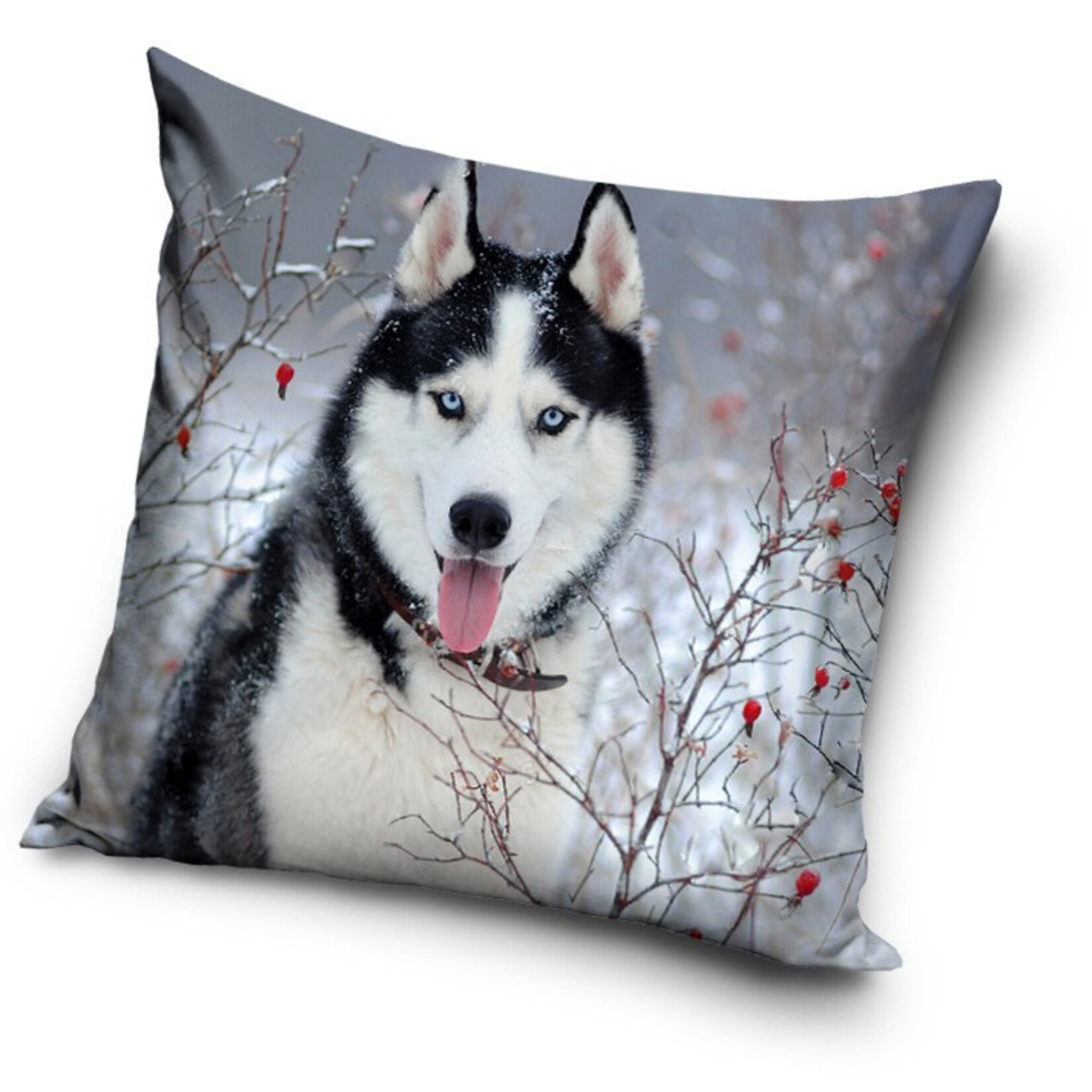 Hund Kissen 40*40 cm