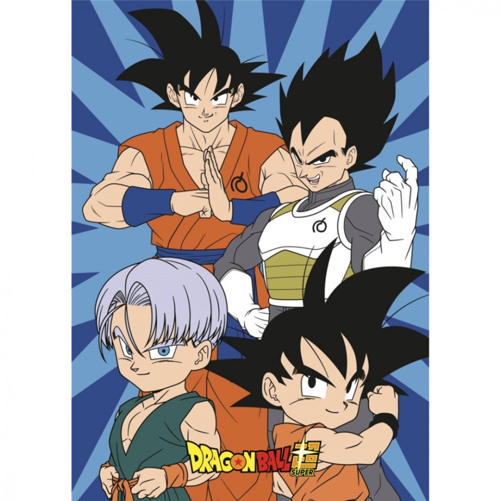Dragon Ball Dragon Ball Polardecke 100x140 cm
