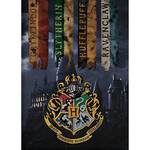 Harry Potter Harry Potter Houses Polardecke 100x140 cm