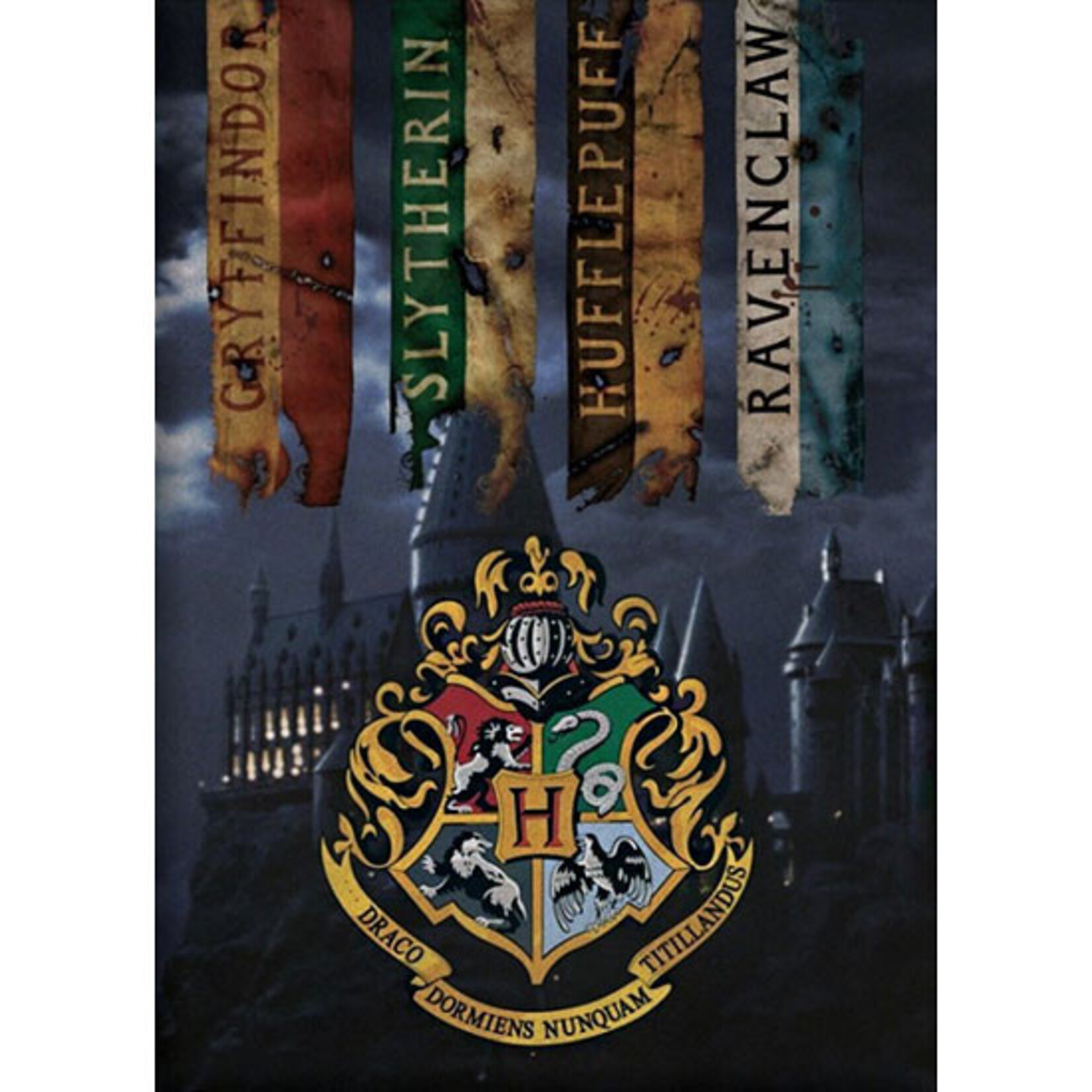 Harry Potter Harry Potter Houses Polardecke 100x140 cm