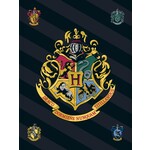 Harry Potter Harry Potter Fleecedecke 100*140 cm