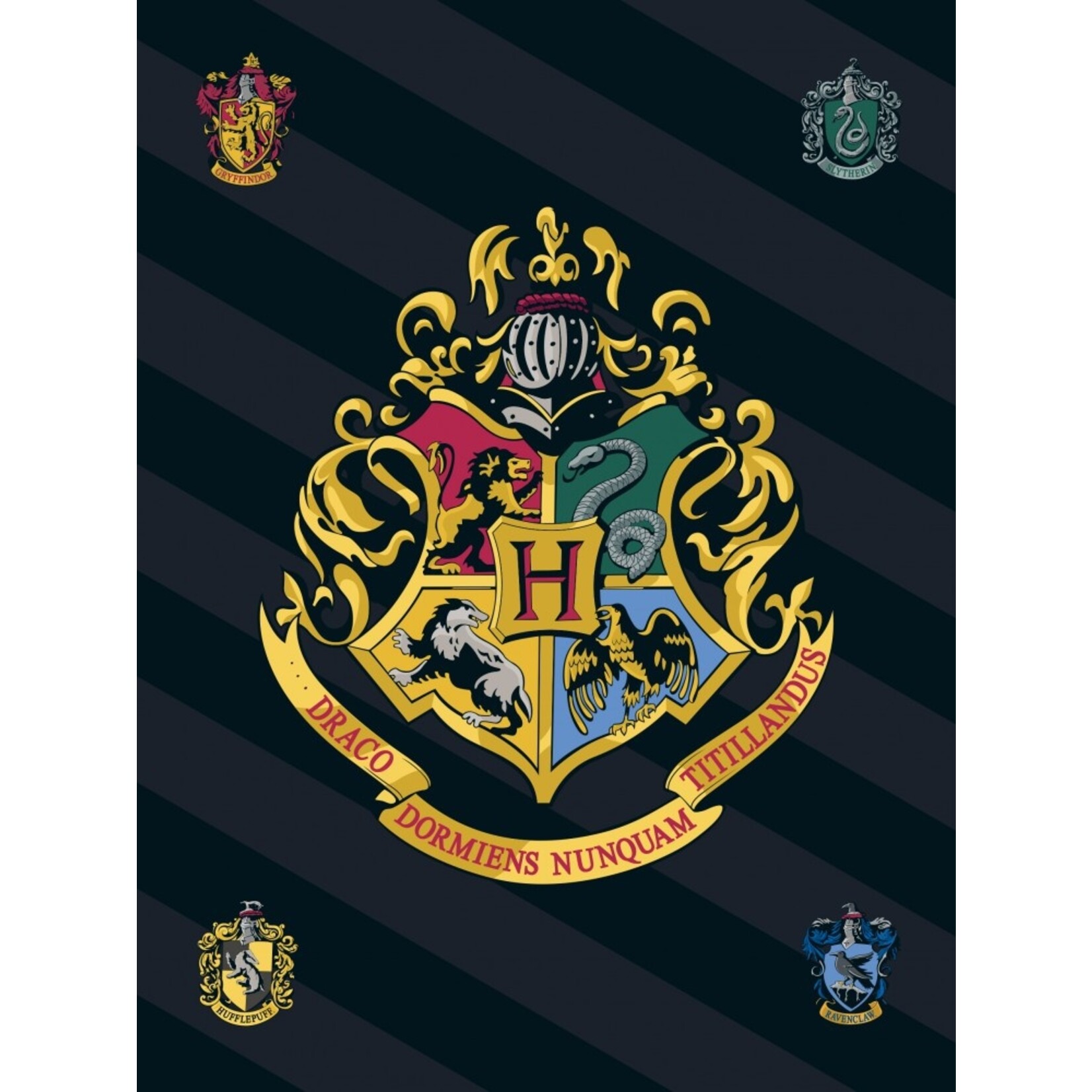 Harry Potter Harry Potter Fleecedecke 100*140 cm